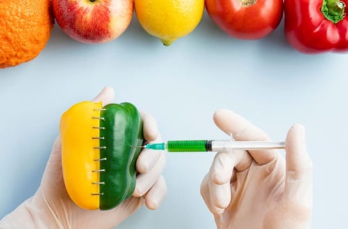 Alimentos transgenicos